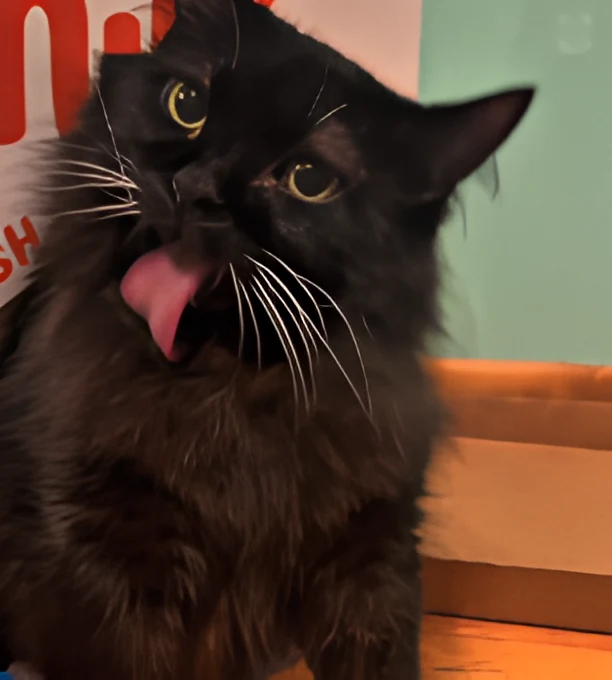 Meemers caught off guard
